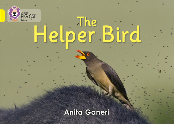 Big Cat - Helper Bird