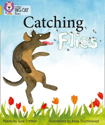 Big Cat - Catching Flies