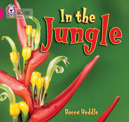 Big Cat - In the Jungle
