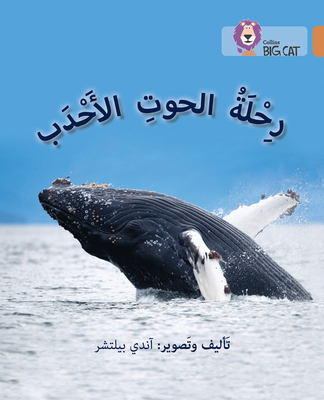Big Cat Arabic - Journey HW