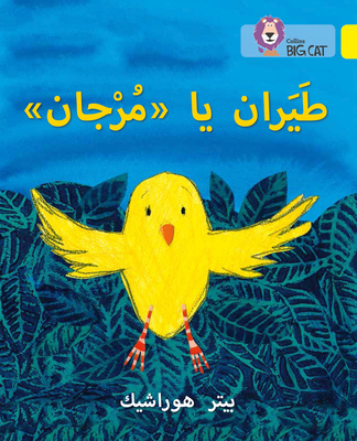 Big Cat Arabic - Fly Murjan