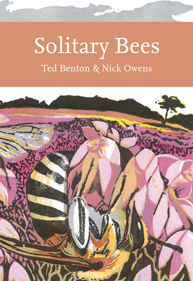 Solitary Bees