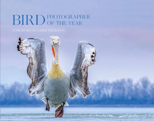 Bird Photographer of the Year