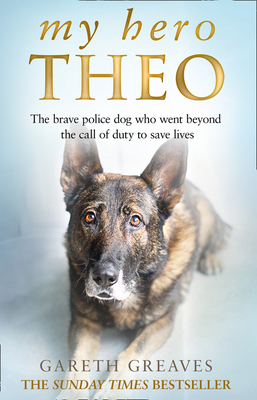 My Hero Theo