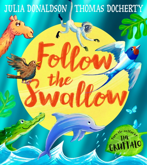 Follow Swallow