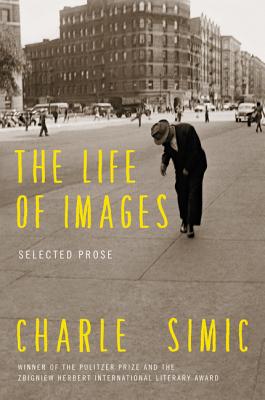 The Life of Images