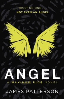 Angel: A Maximum Ride Novel