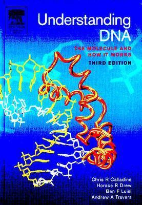 Understanding DNA