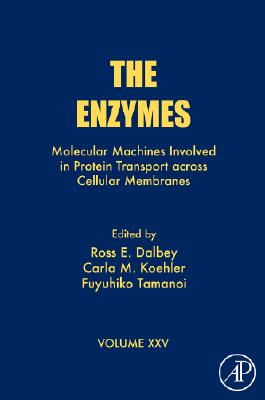 The Enzymes