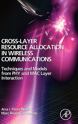 Cross-Layer Resource Allocation in Wireless Communications