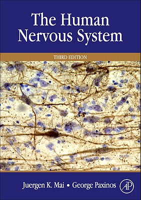 The Human Nervous System