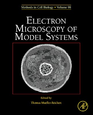 Electron Microscopy of Model Systems