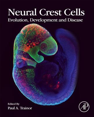 Neural Crest Cells