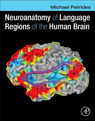 Neuroanatomy of Language Regions of the Human Brain