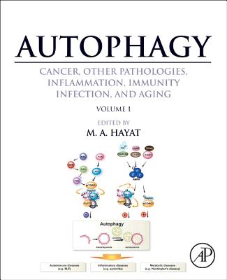 Autophagy: Cancer, Other Pathologies, Inflammation, Immunity, Infection, and Aging