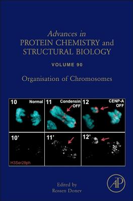 Organisation of Chromosomes