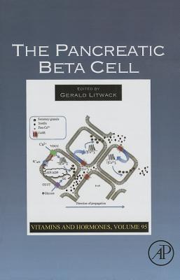 The Pancreatic Beta Cell