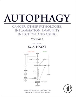 Autophagy: Cancer, Other Pathologies, Inflammation, Immunity, Infection, and Aging