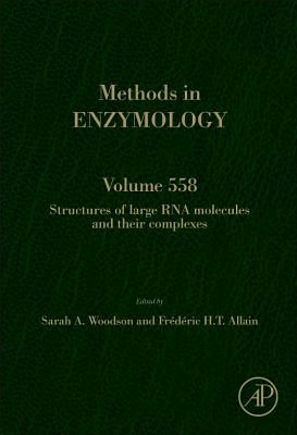 Structures of Large RNA Molecules and Their Complexes