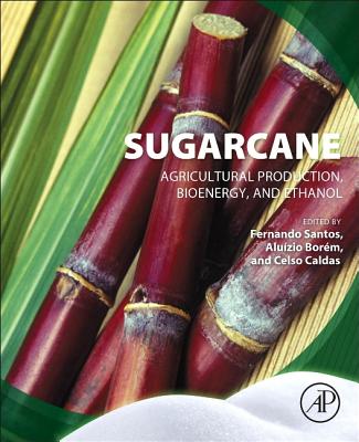 Sugarcane