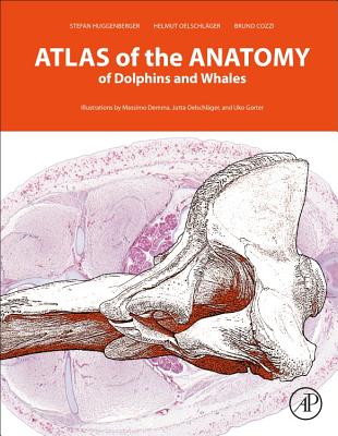 Atlas of the Anatomy of Dolphins and Whales