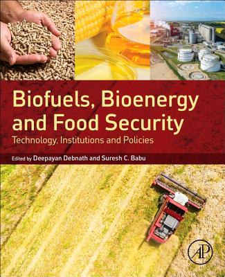 Biofuels, Bioenergy and Food Security