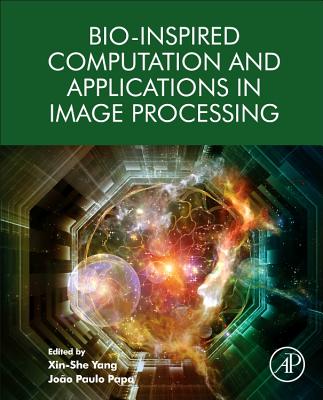 Bio-Inspired Computation and Applications in Image Processing