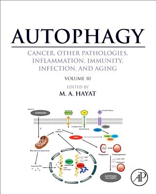 Autophagy: Cancer, Other Pathologies, Inflammation, Immunity, Infection, and Aging