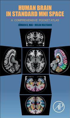 Human Brain in Standard MNI Space