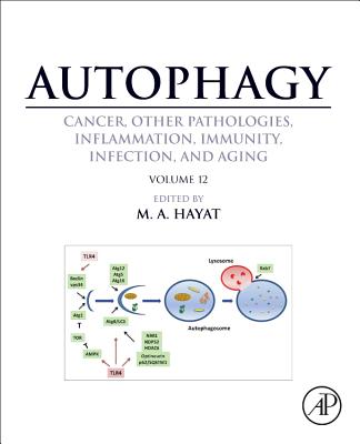 Autophagy: Cancer, Other Pathologies, Inflammation, Immunity, Infection, and Aging