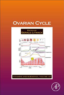 Ovarian Cycle