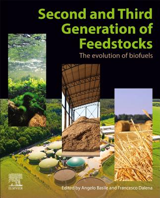 Second and Third Generation of Feedstocks