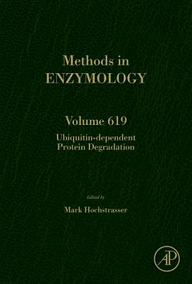 Ubiquitin-dependent Protein Degradation