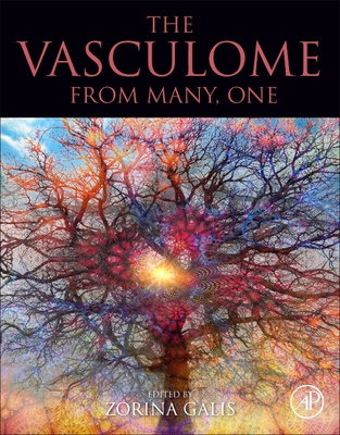 The Vasculome