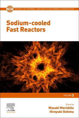 Sodium-cooled Fast Reactors