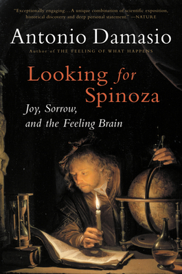 Looking For Spinoza