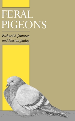 Feral Pigeons