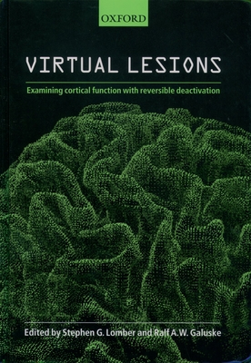 Virtual Lesions