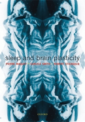 Sleep and Brain Plasticity