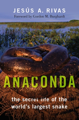 Anaconda