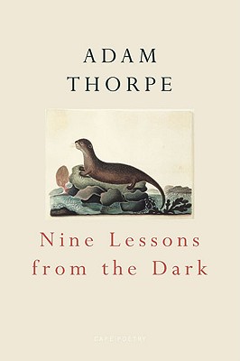 Nine Lessons From The Dark