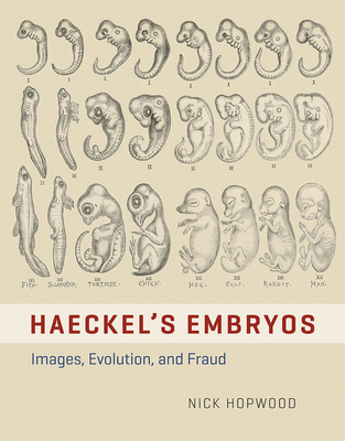 Haeckel's Embryos - Images, Evolution, and Fraud