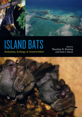 Island Bats