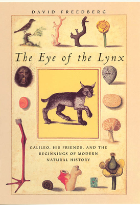 The Eye of the Lynx