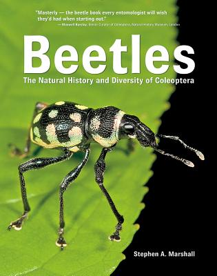 Beetles