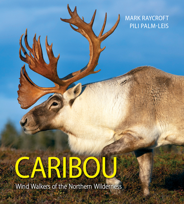 Caribou