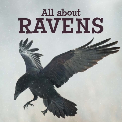 All about Ravens