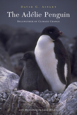 The Adelie Penguin