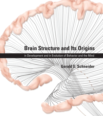 Brain Structure and Its Origins