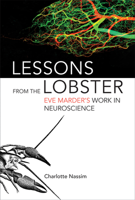 Lessons from the Lobster